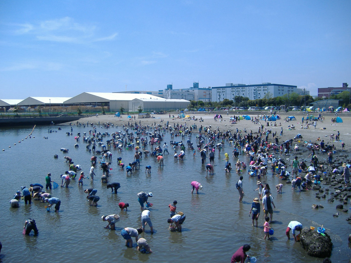 東扇島東公園の現在！釣り禁止の真相とBbq・ドッグラン徹底ガイド