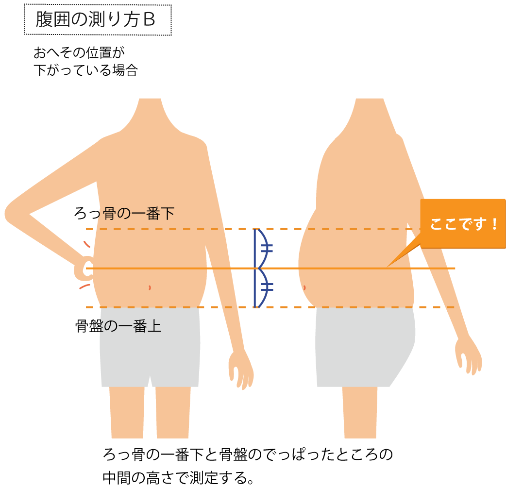 腹囲の正しい測り方とは？ウエストの違いとメタボ基準を徹底解説