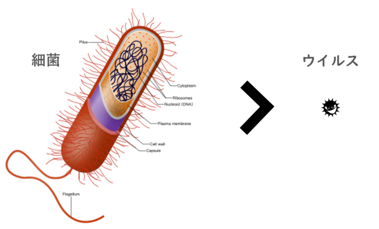 菌とウイルスの決定的な違いとは？抗生物質が効かない理由と最新対策