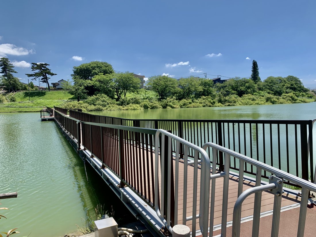 愛知・大府「七本木池公園」の真価｜水辺の遊具と混雑のリアルを徹底解剖