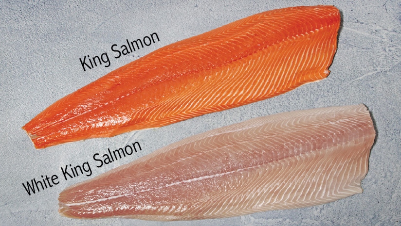 Is Salmon Considered a White Fish