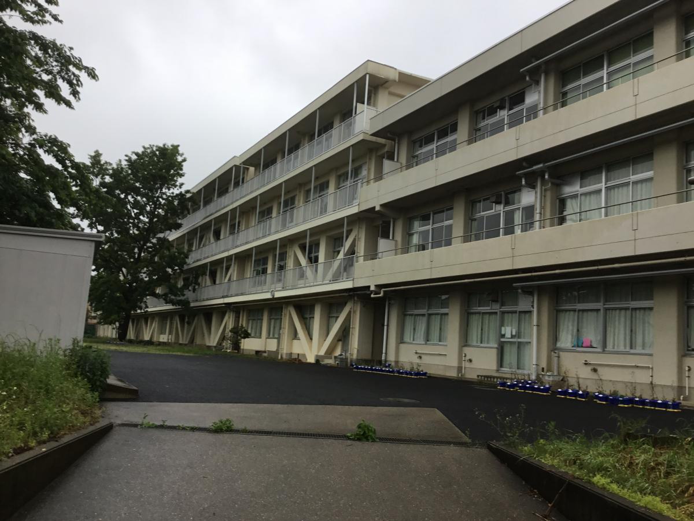 佐倉市立西志津小学校の評判と実態！学区・口コミから見えた教育環境