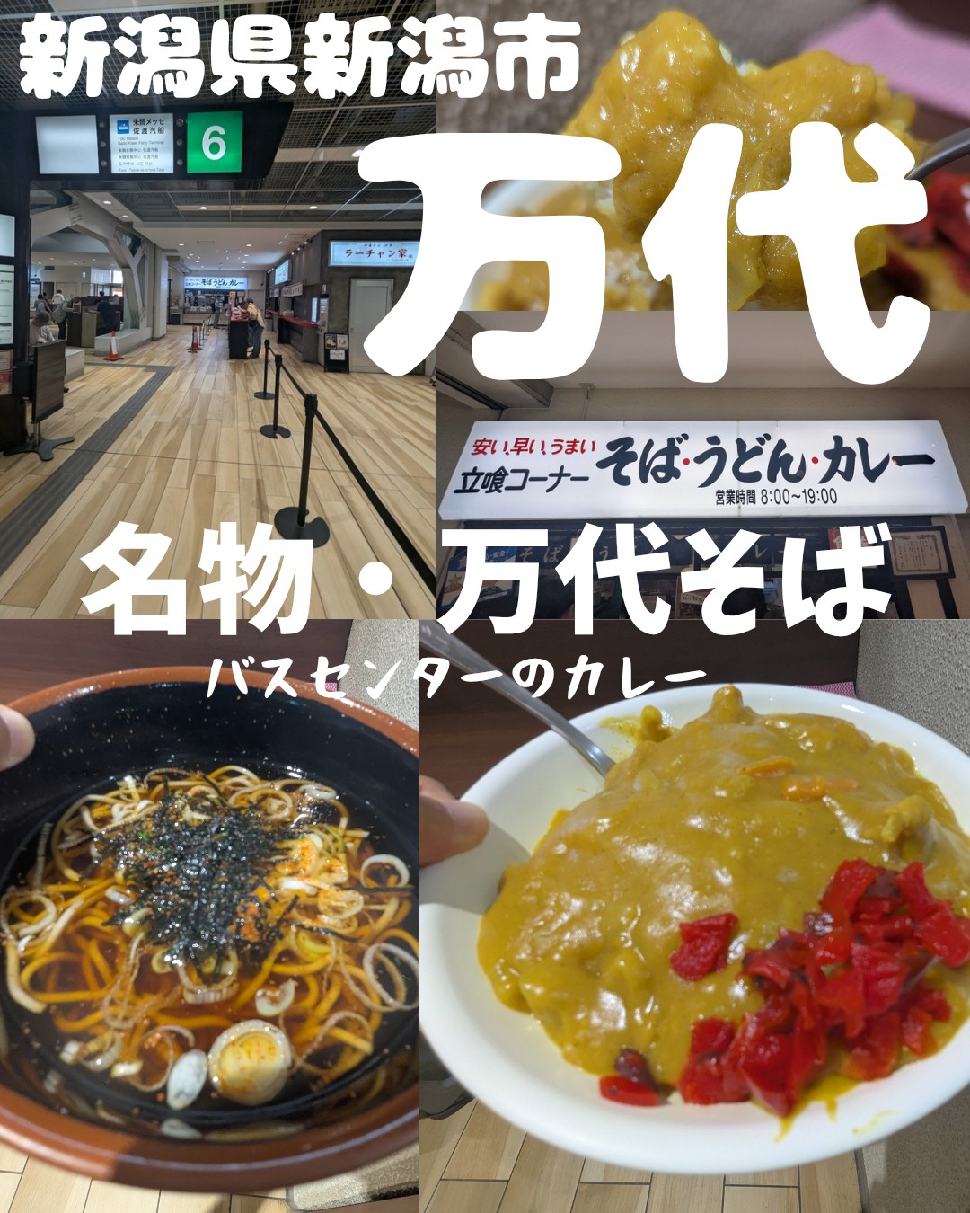 新潟万代そばの黄色いカレーなぜ行列？人気の秘密と実食攻略法2026