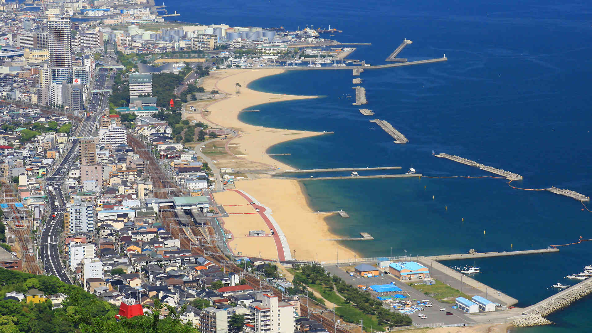 最上山公園もみじ山2026見頃は？燃える紅葉の秘密と駐車場穴場ガイド