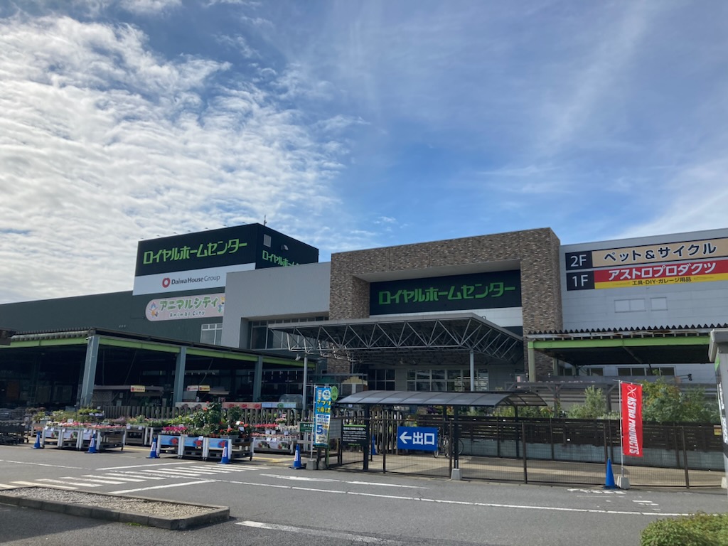 ロイヤルホームセンター千葉北の閉店理由と跡地！2026年最新の全貌