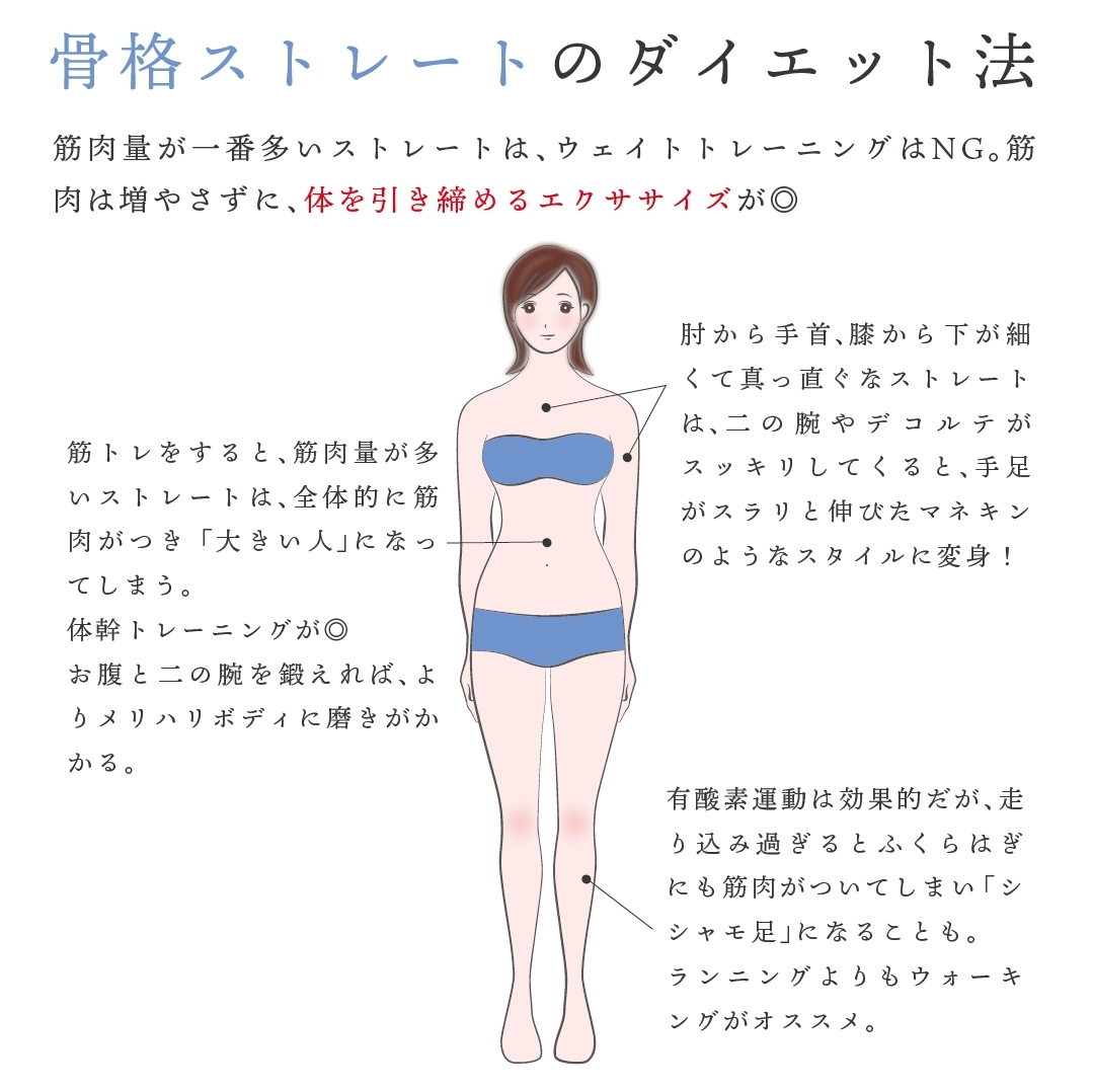 骨格ストレートは筋トレで太る？2026年最新の痩せ方と成功の秘訣