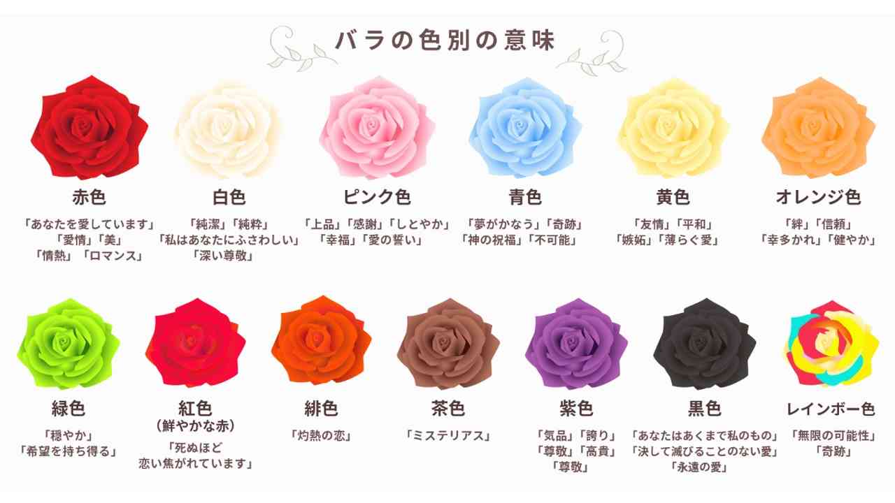 薔薇の色別花言葉と本数の真相｜プレゼントで避けたい怖い意味とマナー