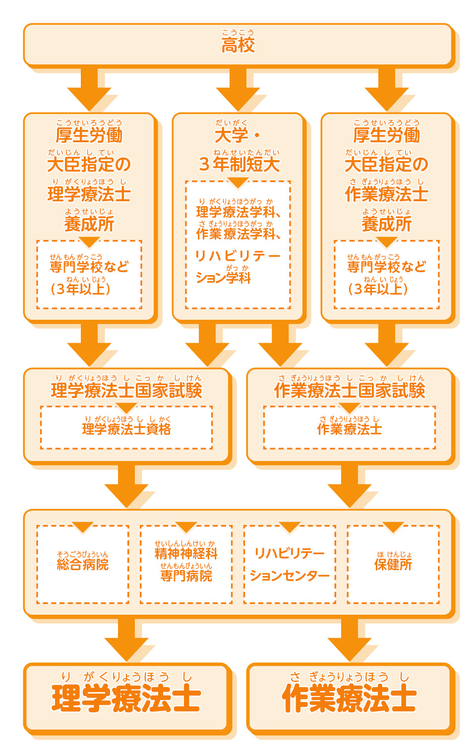 理学療法士になるには？大学と専門学校の差や学費・最短ルートを徹底解説【2026】