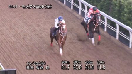 【画像あり】 スワン ステークス 追い 切り 話題のSns投稿まとめ 2026 #954