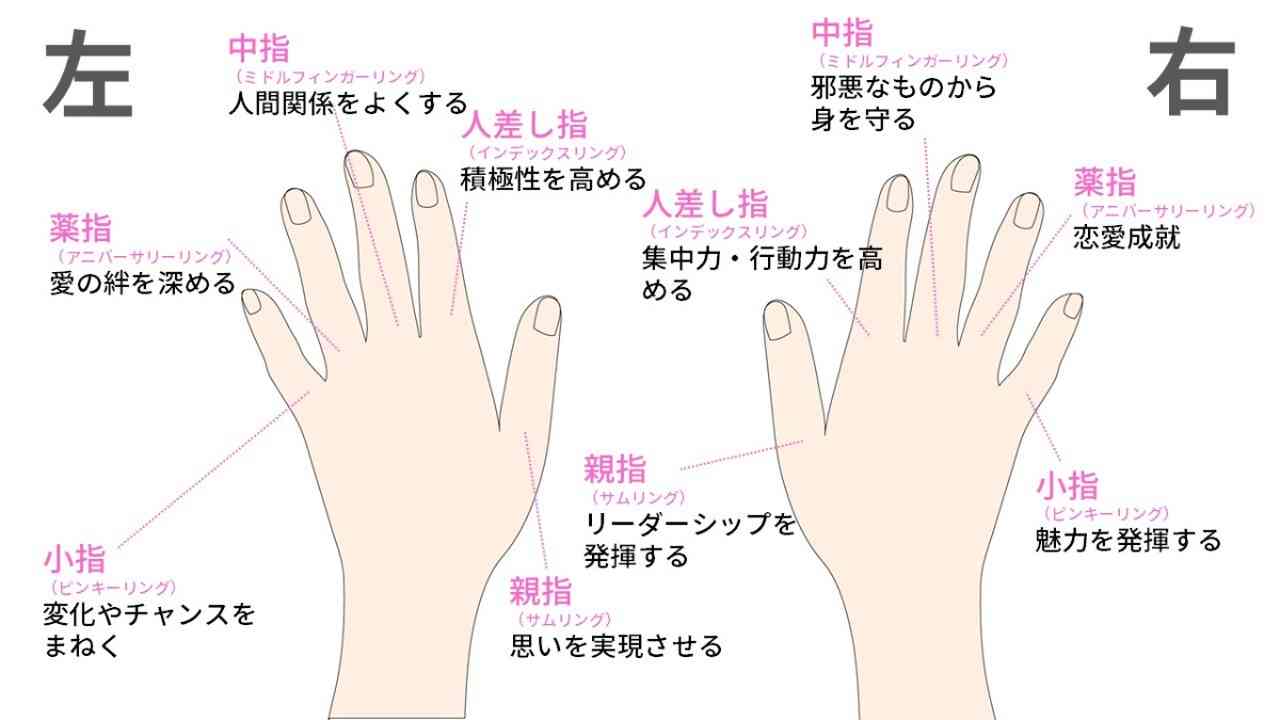 薬指と人差し指の長さで何が暴かれるか？指比の科学的根拠と診断の真相