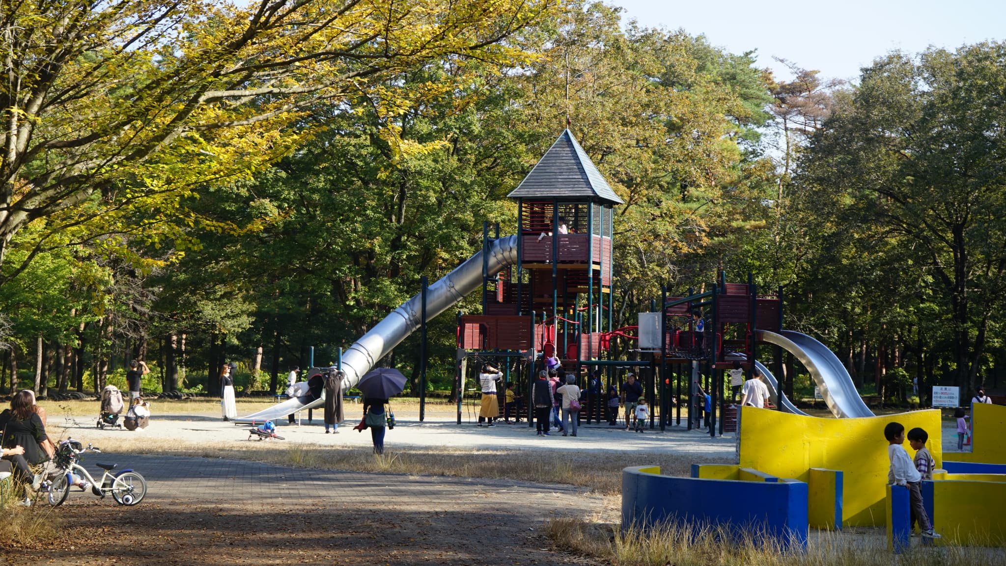 2026年最新リポート：緑と冒険が交差する栃木の広域オアシス「那須野が原公園」が今、感性度の高い旅行者に選ばれる理由