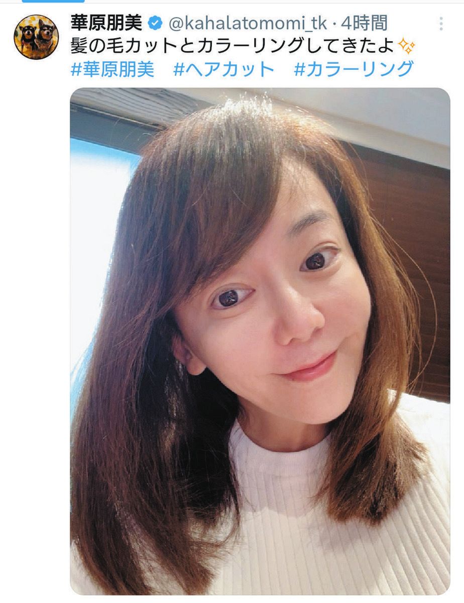 華原朋美の現在写真が全盛期並みと話題！激痩せの真相と2026最新姿