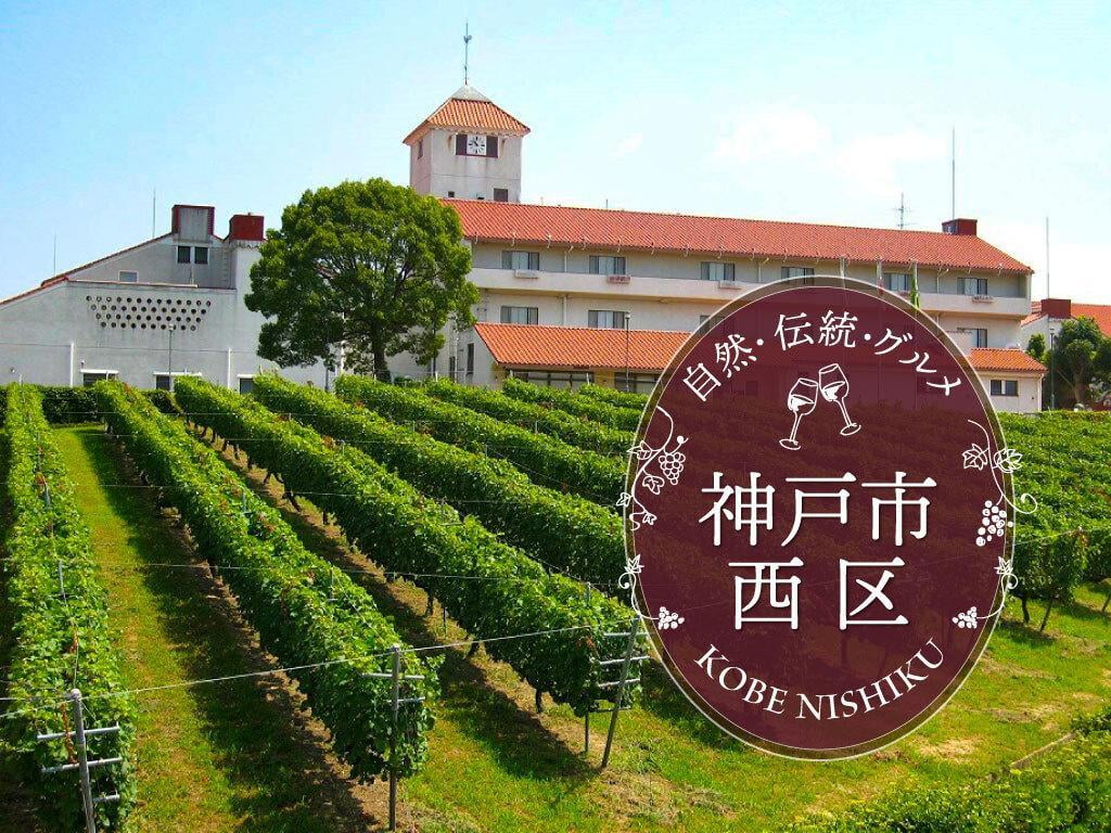 神戸市西区の住みやすさと治安の真相｜再開発と子育て環境を徹底検証