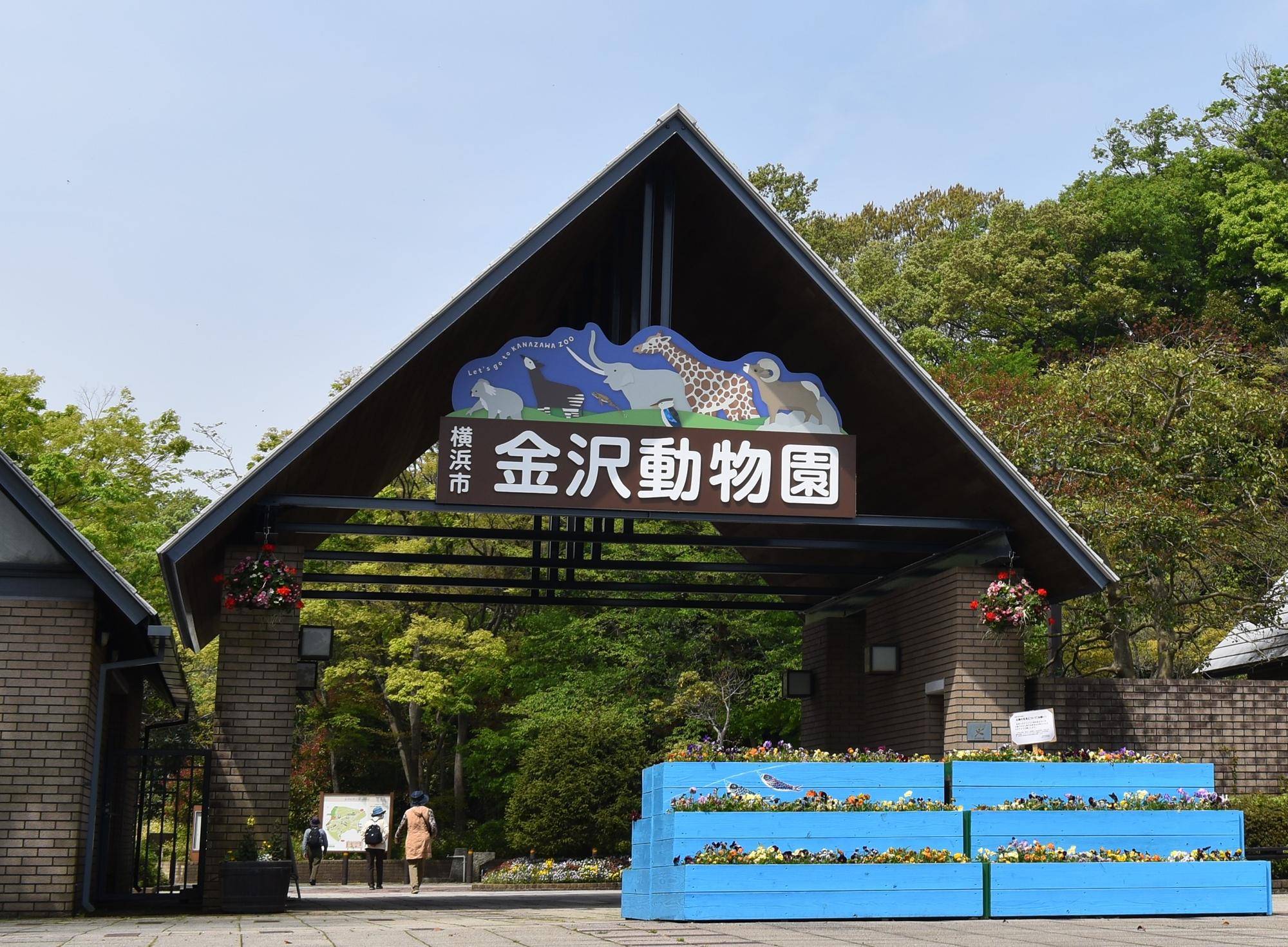 金沢自然公園の混雑回避と見どころ完全ガイド【2026年最新版】