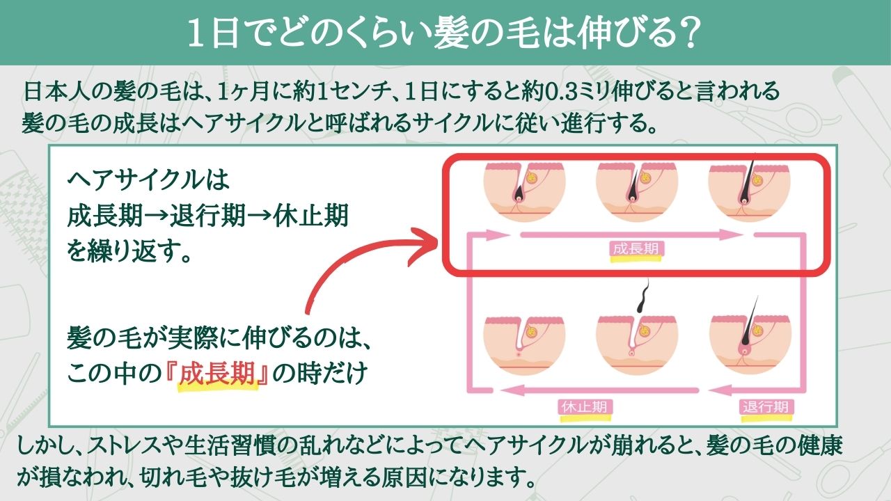 お餅をレンジでつきたてに！溶けない加熱時間と失敗知らずの裏ワザ