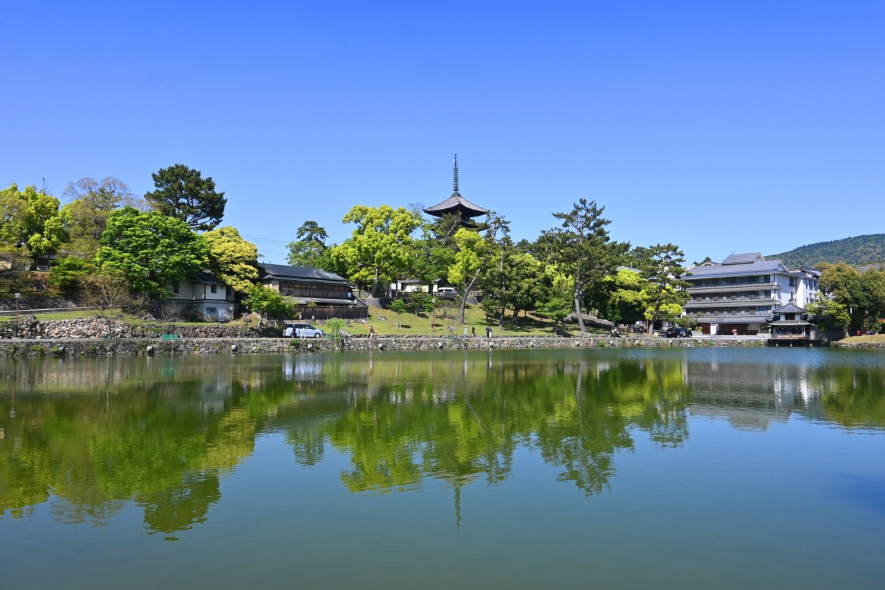古都奈良の絶景影に潜む謎！猿沢池の七不思議と切ない采女伝説