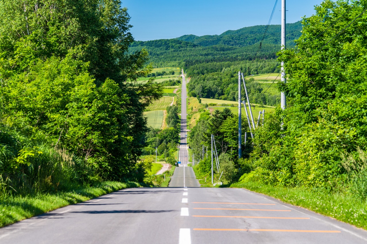 なぜ急勾配に熱狂？北海道「ジェットコースターの路」絶景と事故の真相