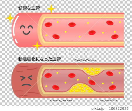 【動画まとめ】 血管 が 細い 人 2026年最新芸能速報 #931