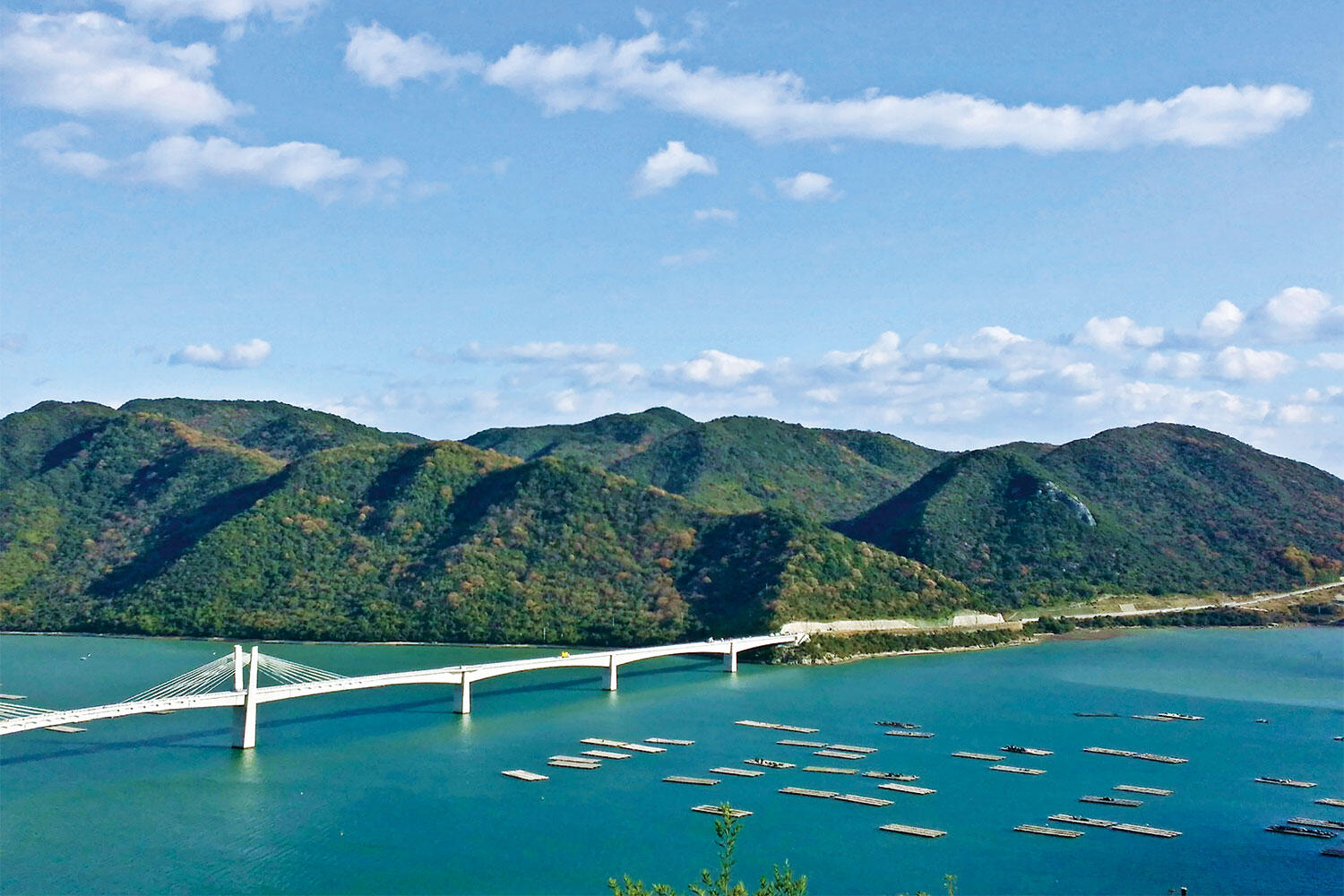 岡山県備前市はなぜ話題？給食無償化の真相と観光移住の現在地
