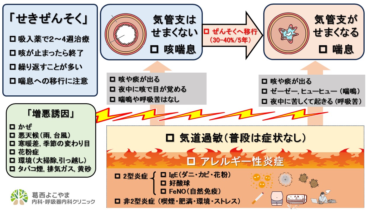 止まらない空咳は危険信号？咳喘息の正体と2026年最新治療法