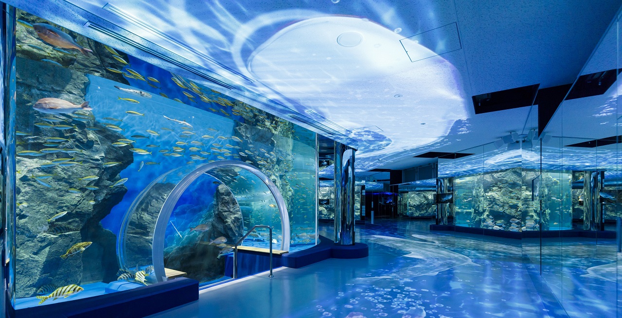 のとじま水族館の現在と復興の軌跡｜ジンベエザメや営業最新情報