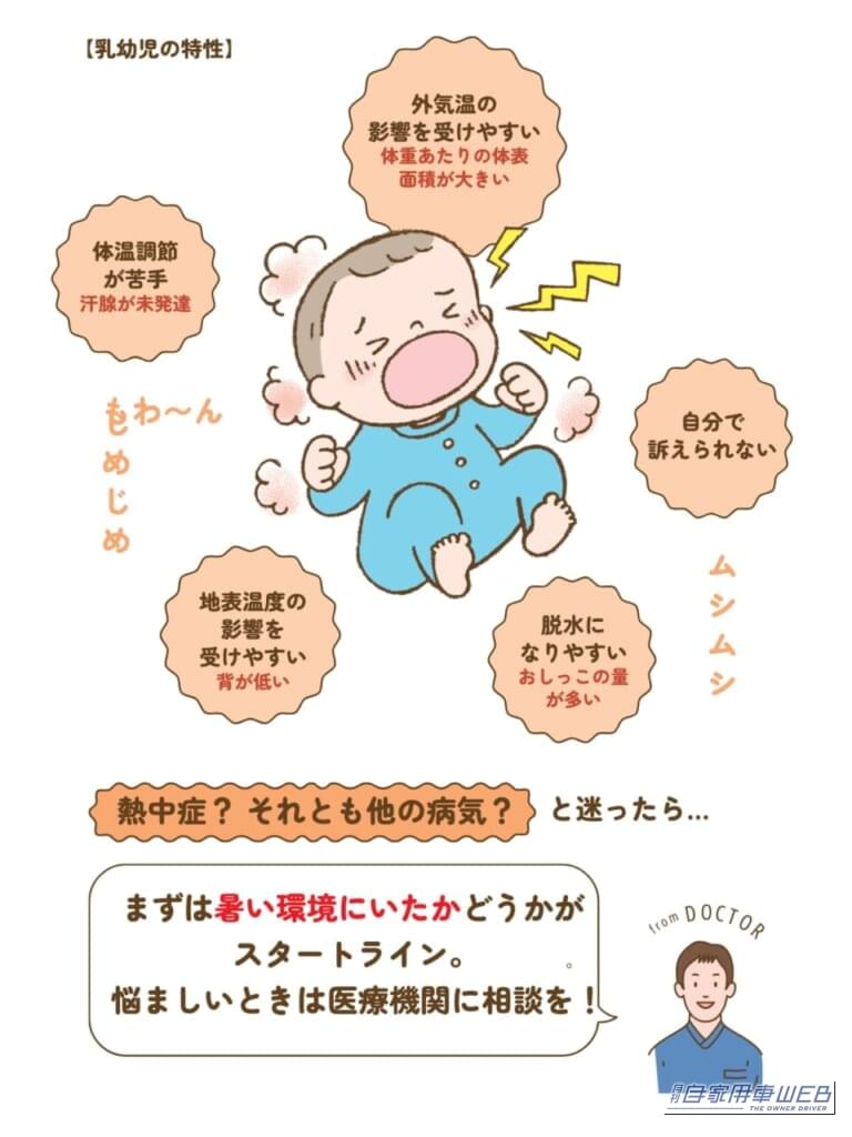 熱中症でなぜ人は命を落とすのか？体内崩壊の真実と防ぐ分岐点