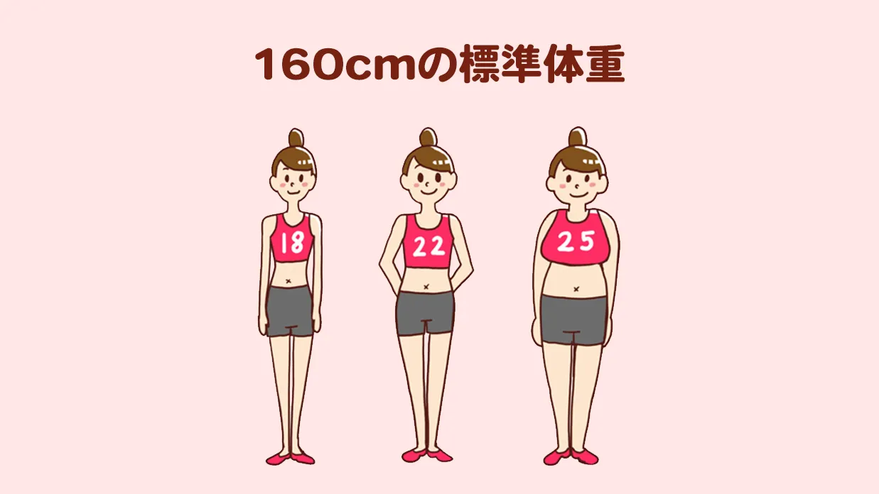 160Cmの平均体重は何Kg？美容・モデル体重の罠と体脂肪率の真実【2026最新】