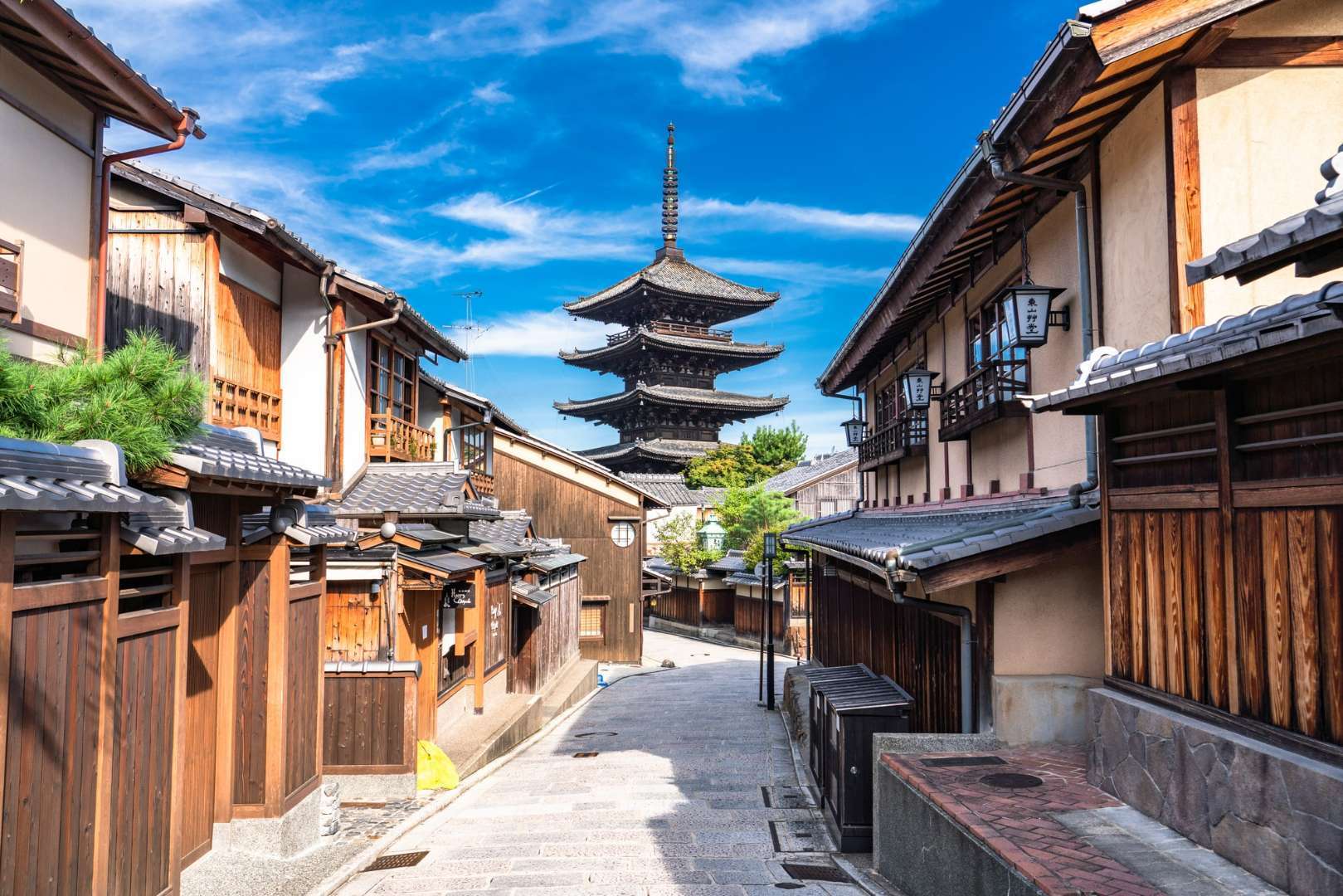 京都精華高校の偏差値と評判は？ウインターカップ王者と美術科のリアル