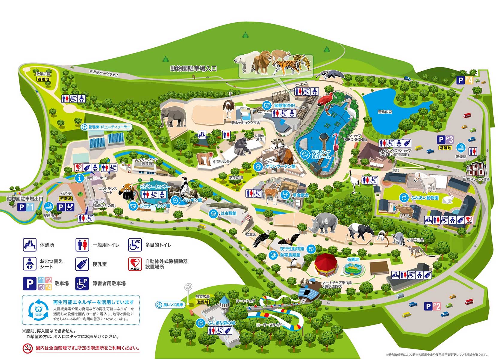 なぜ日本平動物園はレッサーパンダの聖地なのか？2026年最新攻略ガイド