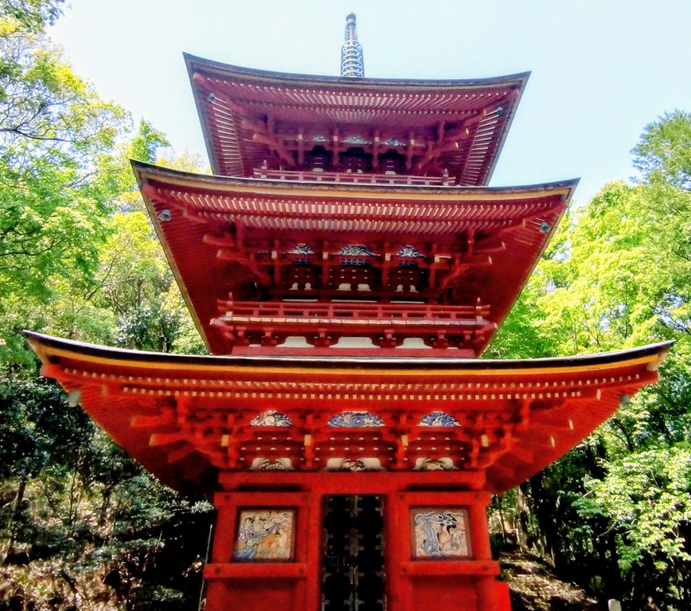 フッ酸ナトリウムの危険性と真相｜フッ化ナトリウムとの決定的な違い