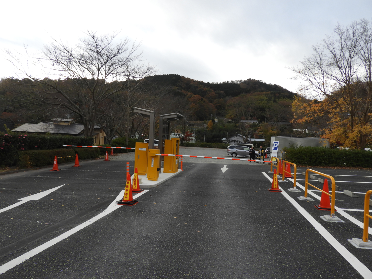 竹林の小径駐車場はどこが正解？専用がない理由と穴場・混雑回避策を検証