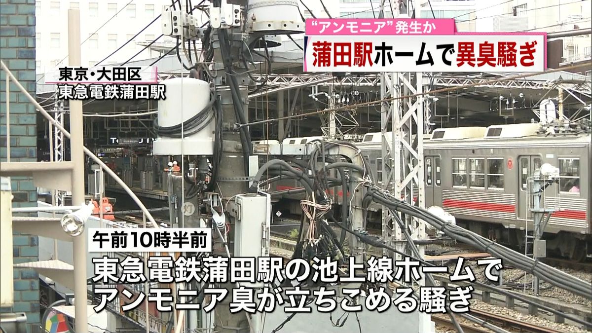電車がアンモニア臭い原因とは？座席シートの汚れと疲労臭の真相
