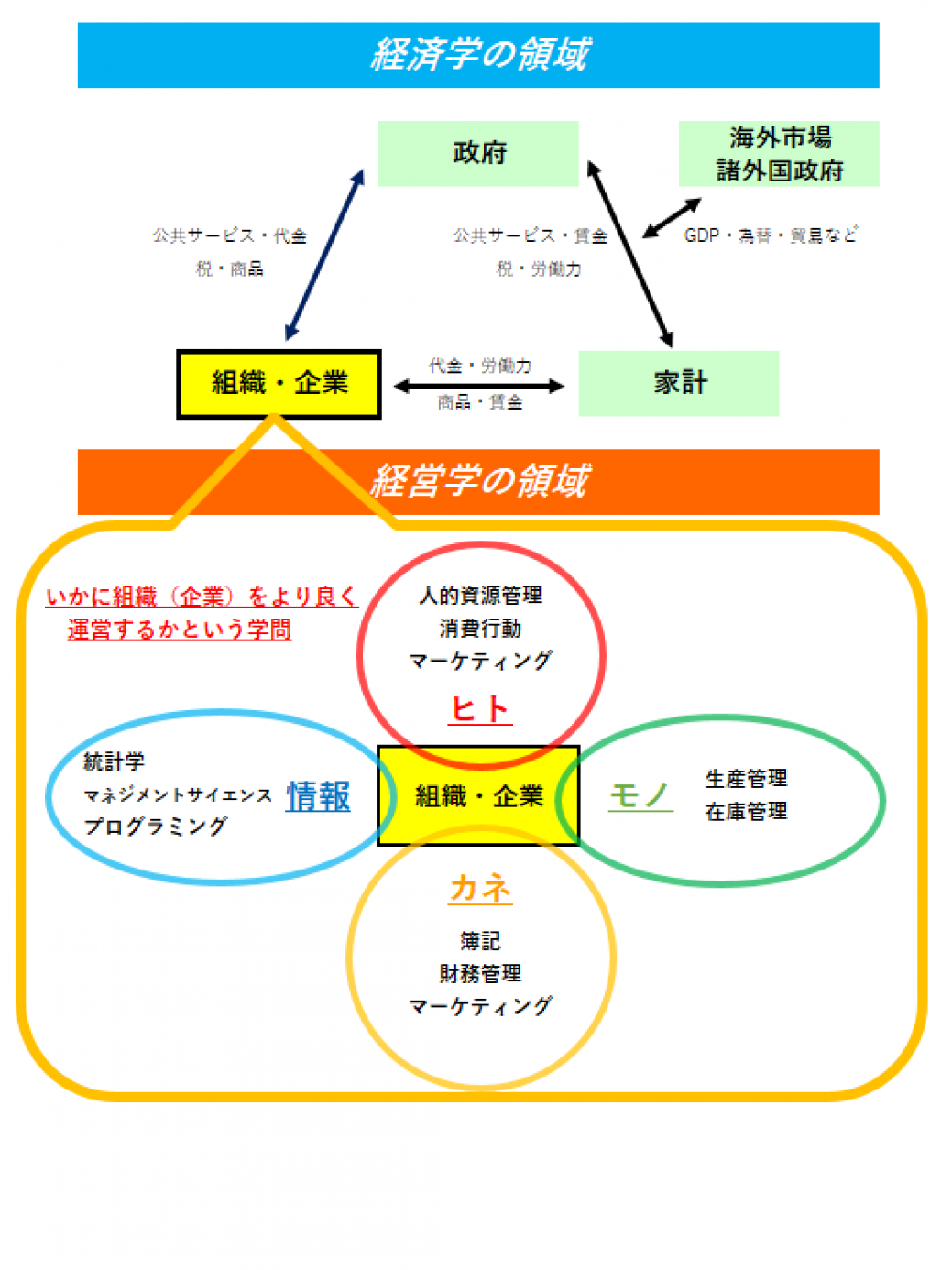 経済学と経営学の違いとは？就職や数学の壁を徹底比較【2026最新】