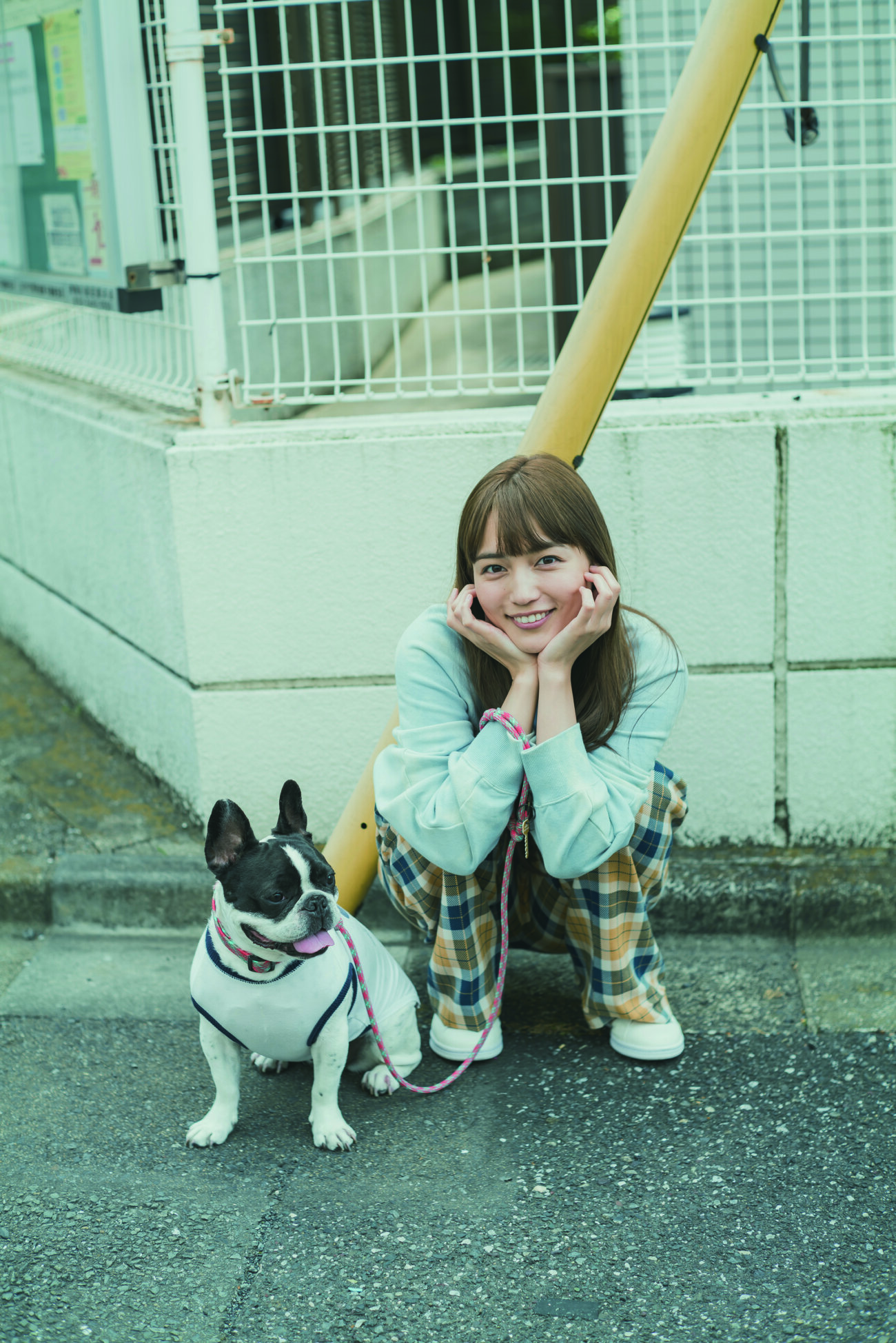 川口春奈の愛犬アムの現在と死亡説の真相！犬種や名前の由来も徹底検証
