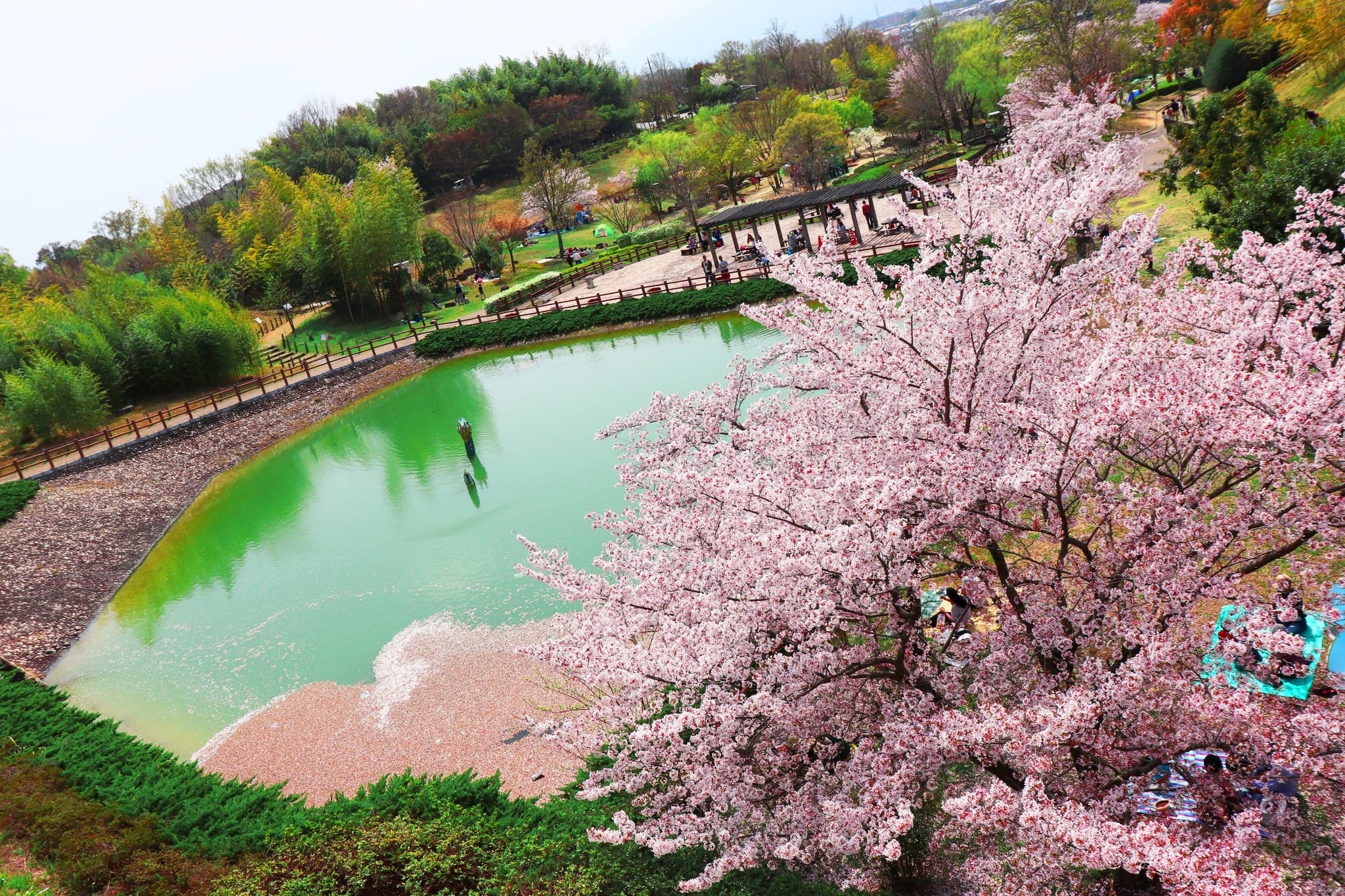 奈良・竹取公園の魅力と混雑攻略！無料そり滑り＆巨大遊具を徹底解剖