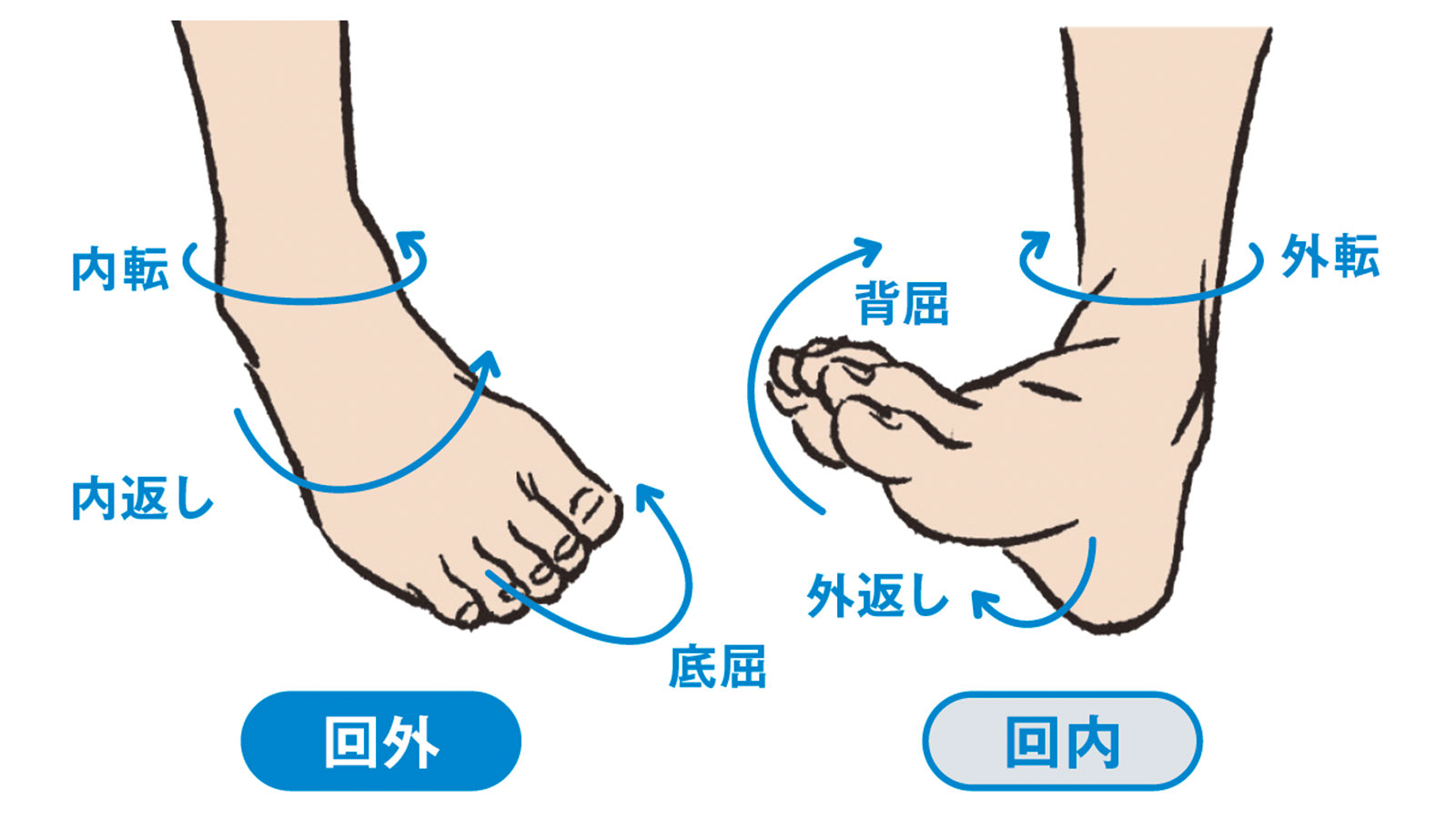 靴底の外側が減る驚きの原因！回外足のリスクと根本改善法を徹底解明