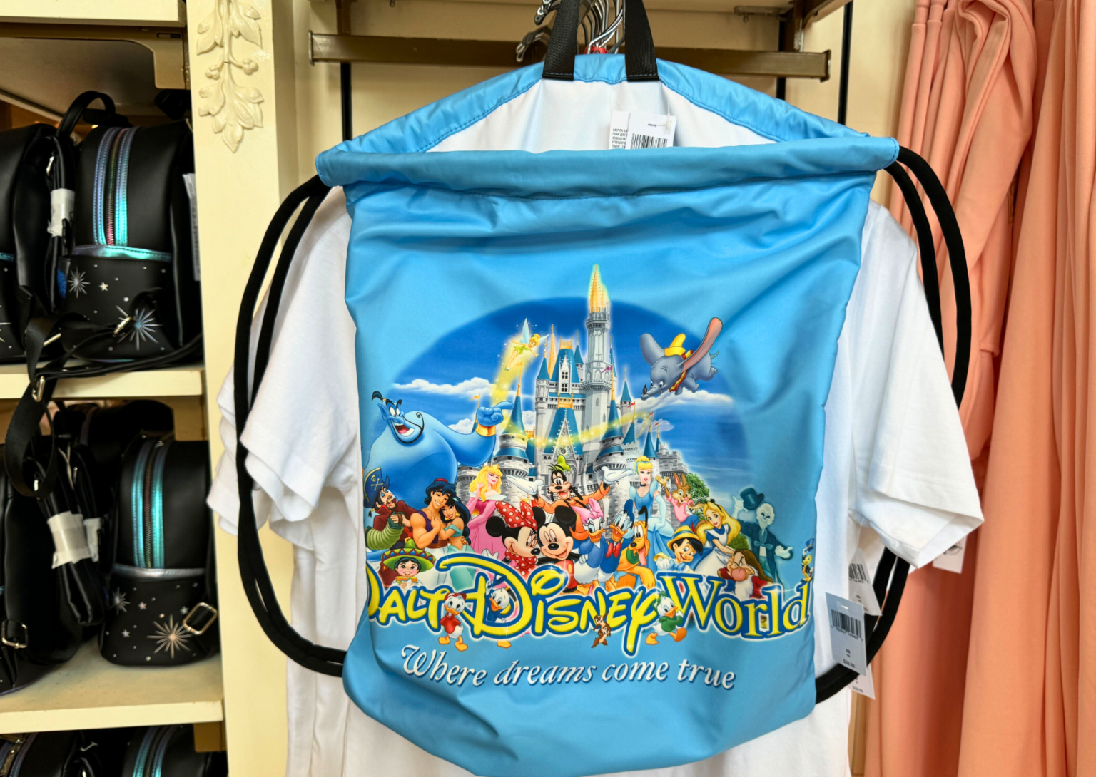 Disney World No Bag Policy