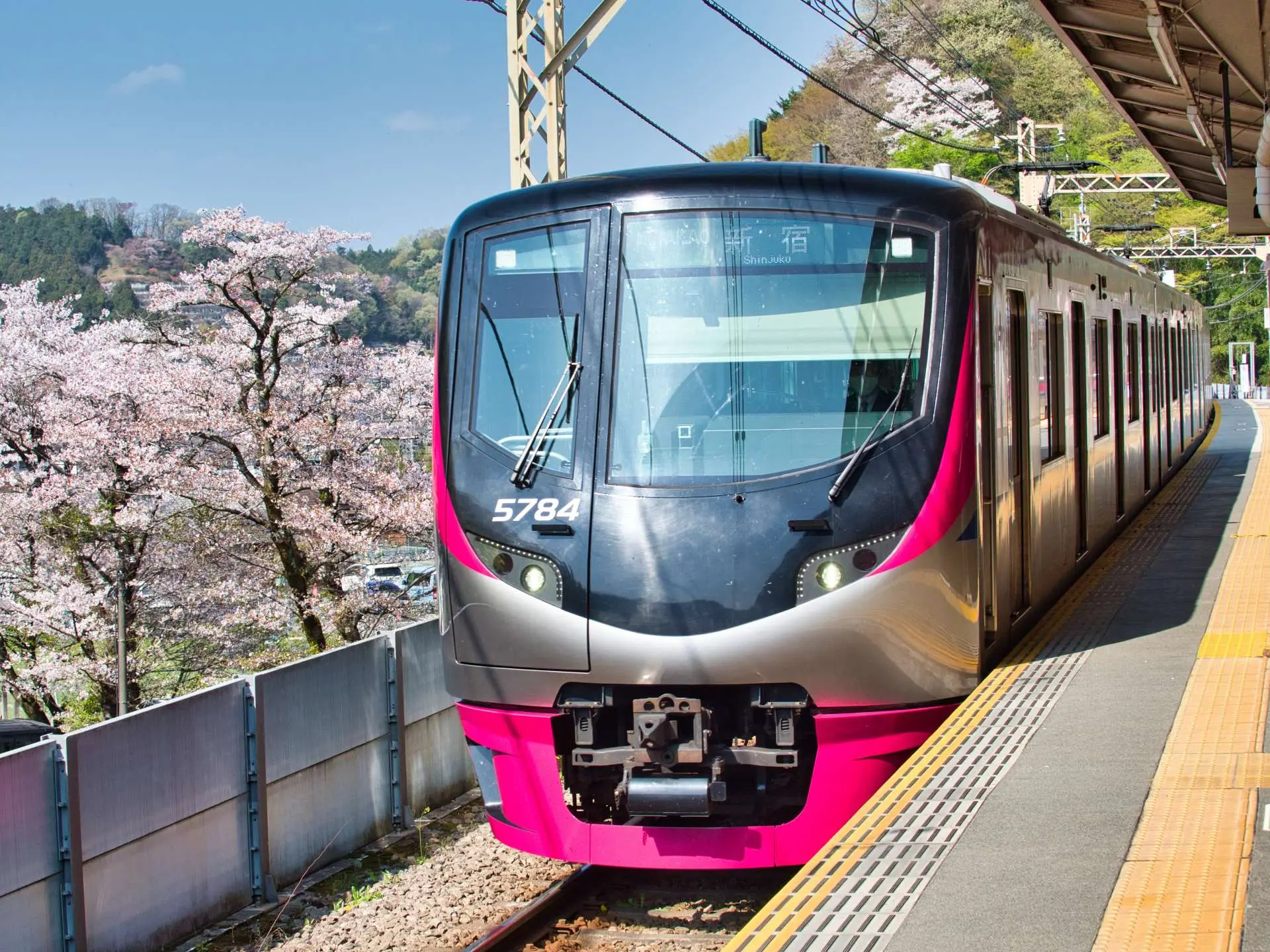 Mt. Takao号完全ガイド！予約・停車駅・料金と満席回避の裏ワザ