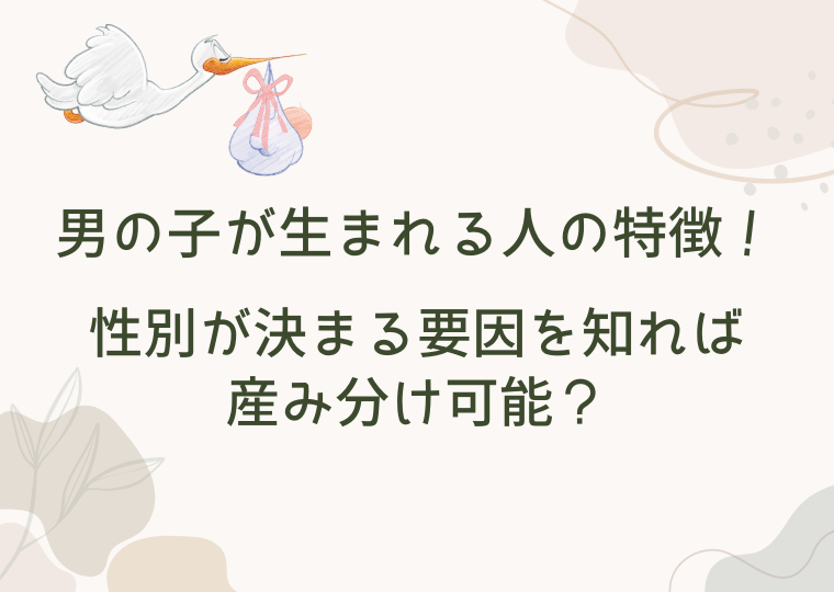 【真相】 男の子 が 生まれ やすい 人 2026年最新芸能速報 #678