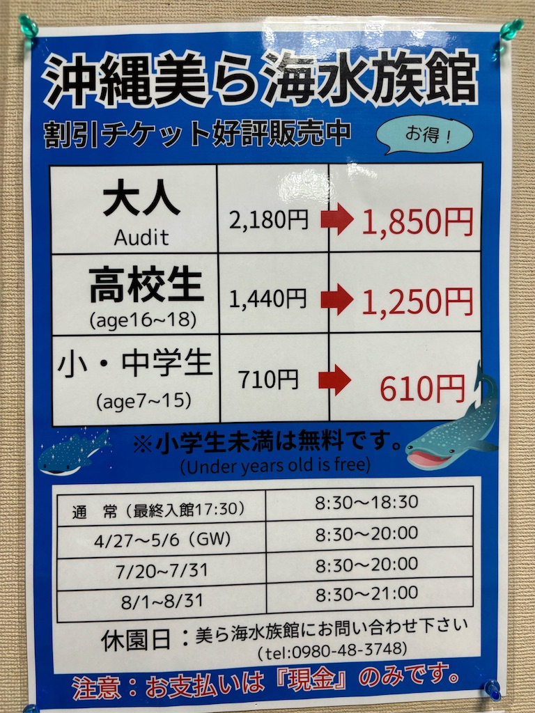 美ら海水族館の割引最安値はどこ？道の駅許田とコンビニの真相【2026】