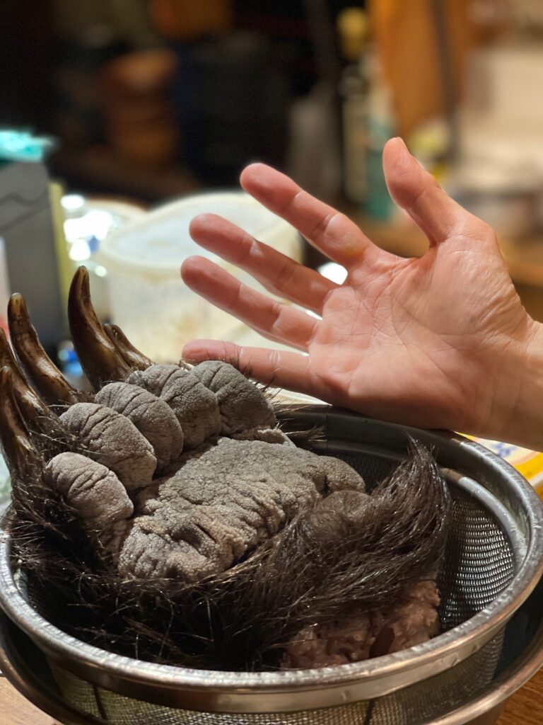 熊の手の味と値段は？右手が高い理由や下処理の真実【2026年最新】