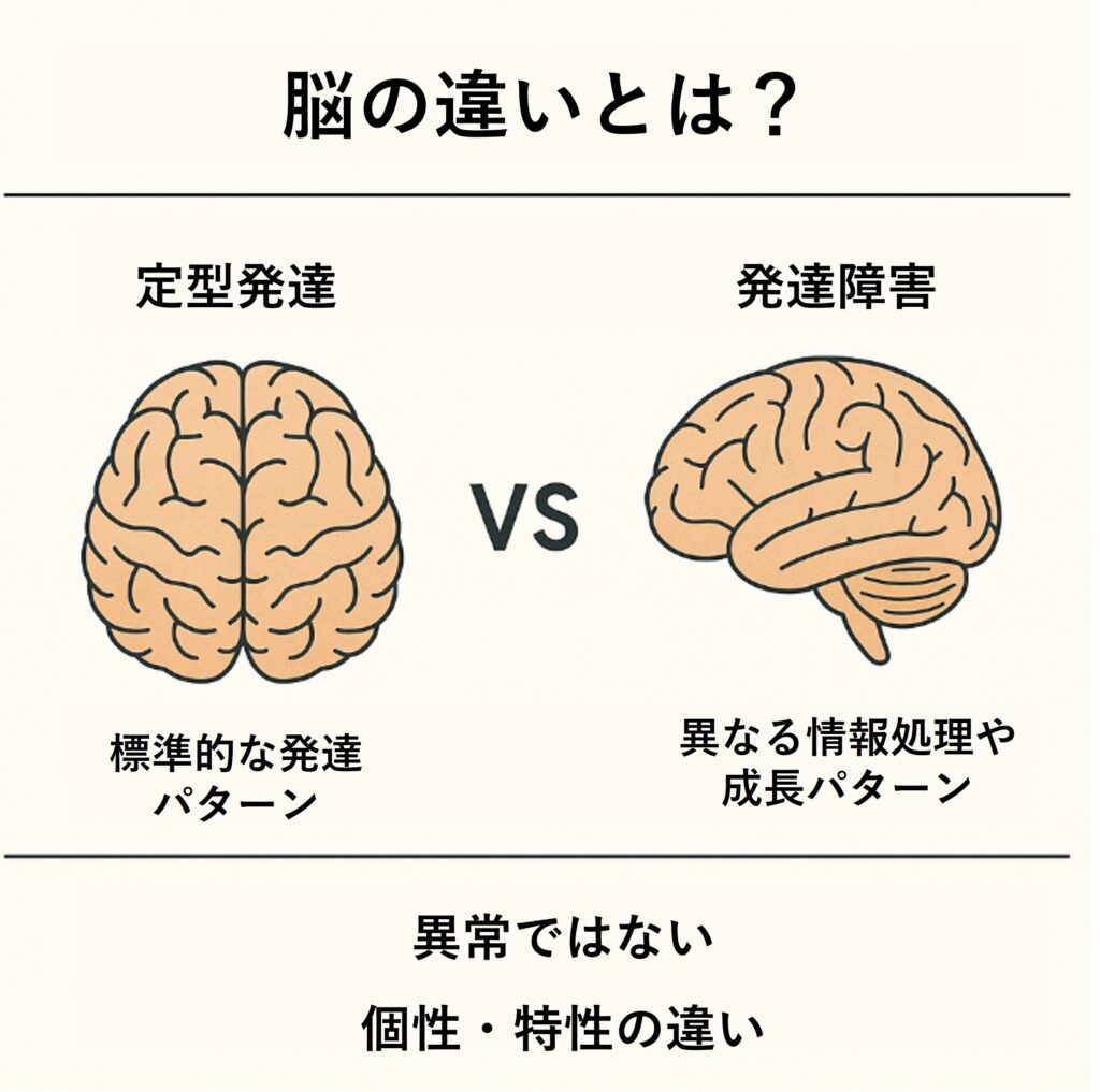 発達障害の脳は何が違う？Mriと最新研究が明かす仕組みの真相