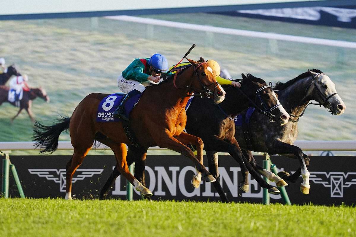 騎手無しで快走する「空馬」の謎！順位・馬券ルールと歴代の珍事件