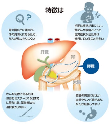 【インスタ画像】 消化 試合 と は 気になる噂と真相 #903