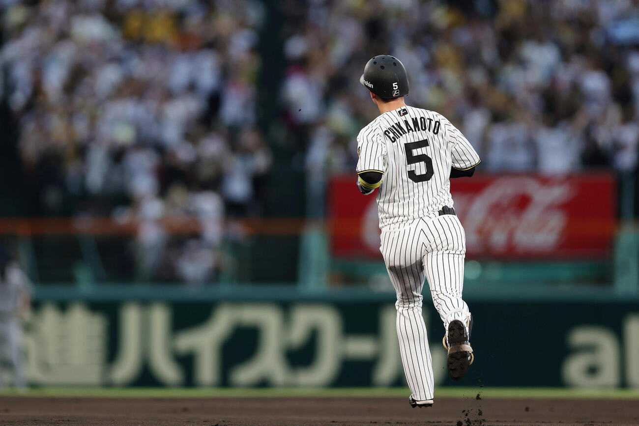 日刊スポーツが迫る阪神タイガースの真相と藤川体制2026の全貌