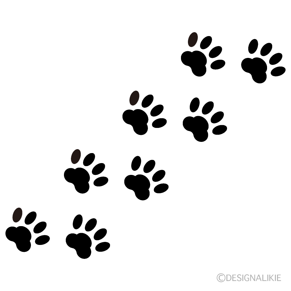 犬の足跡に隠された真実｜猫や野生動物との見分け方と病気サイン