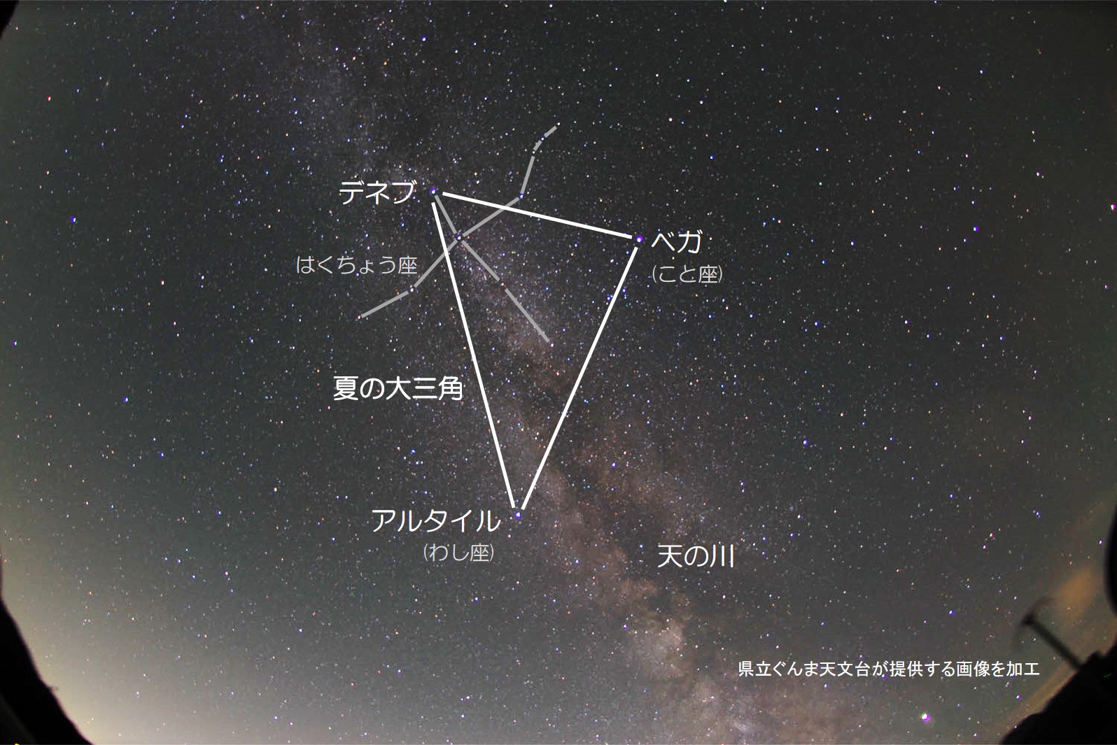 夏の大三角の見つけ方ガイド！星の名前・方角と七夕伝説の真相【2026】