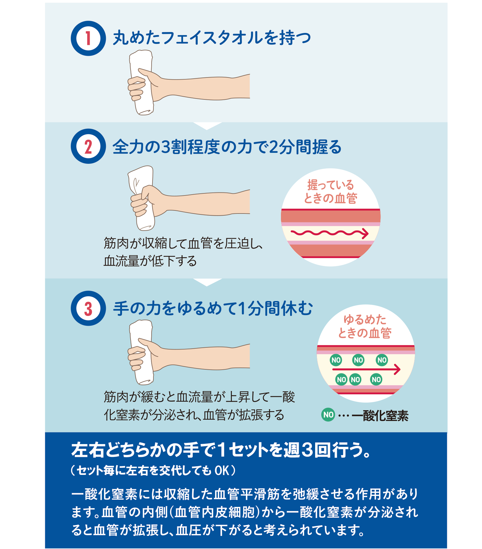 握るだけで血圧改善？ハンドグリップ法の医学的根拠と正しいやり方