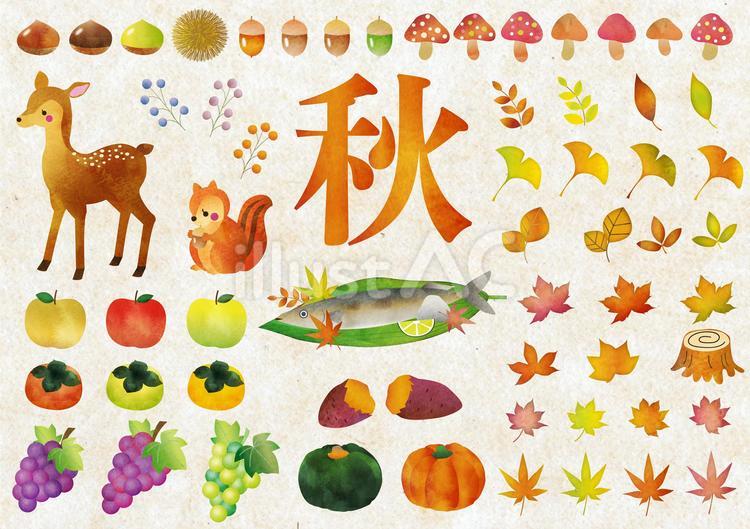 【2026最新】秋のイラスト決定版！商用無料＆かわいいおしゃれ素材集