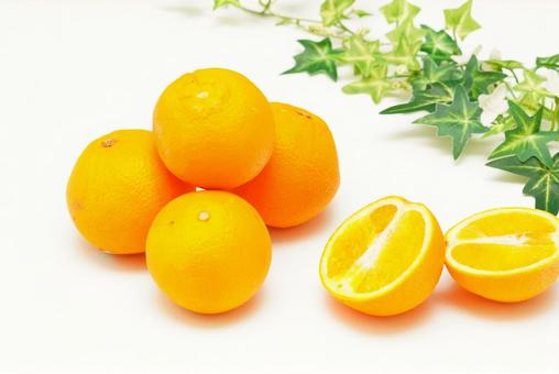 Orange RangeのYamato結婚？噂のお相手と最新真相